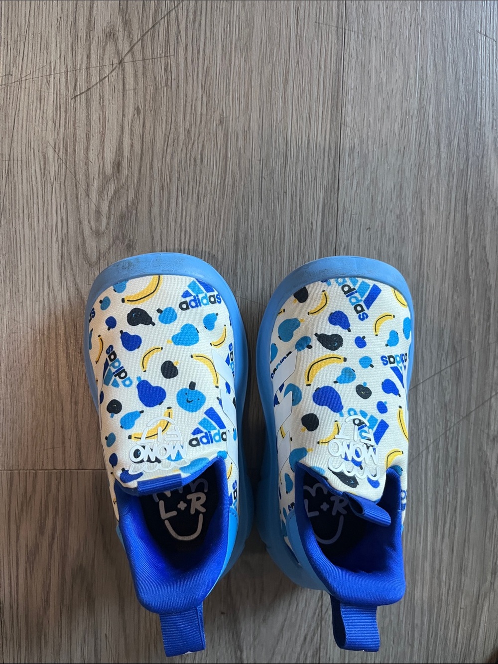 adidas Kids Blue and Yellow Printed Slip-On Clogs